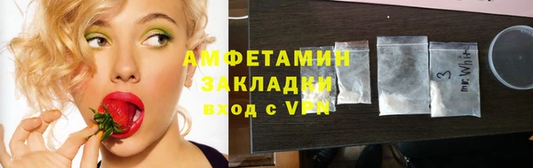 2c-b Бородино