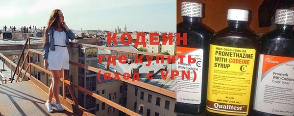 2c-b Бородино